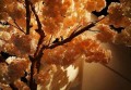 上海浦东新区高桥镇附近夜场招聘包厢管家,入职需要什么条件