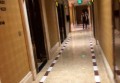 上海闵行区莘庄镇附近夜总会招聘现场DJ,(不抽台费)